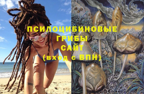 СК Абинск