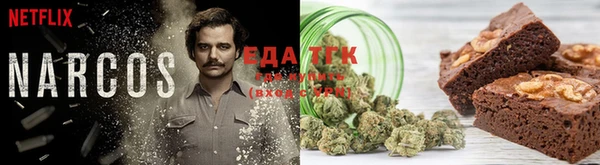 гидропоника Алзамай