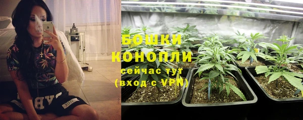 СК Абинск