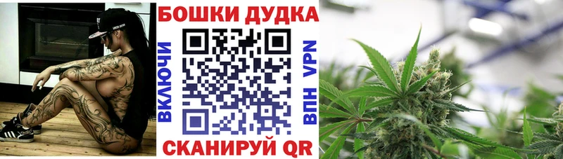 это наркотические препараты  продажа наркотиков  Красный Сулин  Бошки Шишки план 